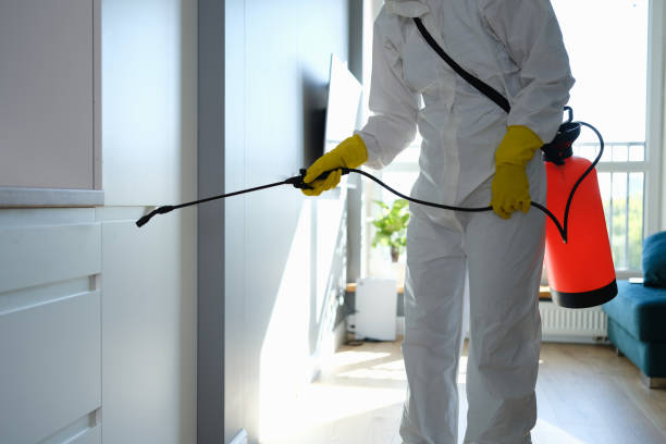 Home Mold Removal in Monmouth Beach, NJ