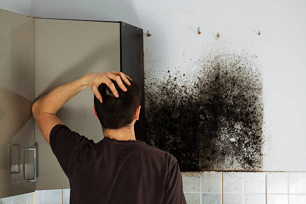 Best Commercial Mold Removal  in Monmouth Beach, NJ